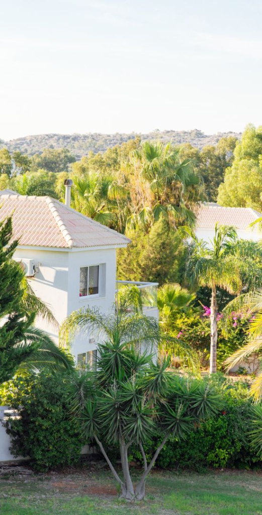 Immo Illusion - Immo Illusion