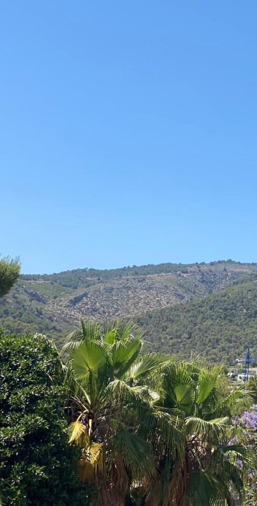 Immo Illusion - Immo Illusion