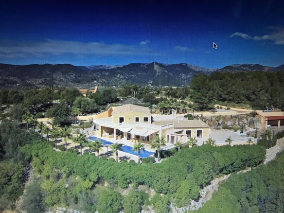 Immo Illusion - Immo Illusion