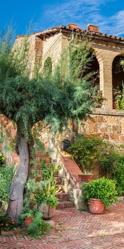 Immo Illusion - Immo Illusion